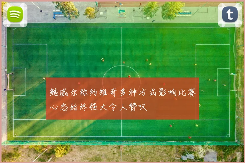 鲍威尔称约维奇多种方式影响比赛心态始终强大令人赞叹