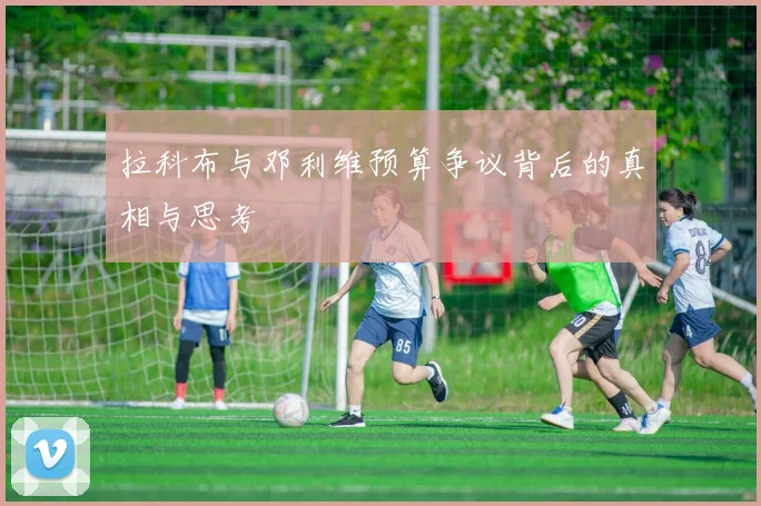 拉科布与邓利维预算争议背后的真相与思考