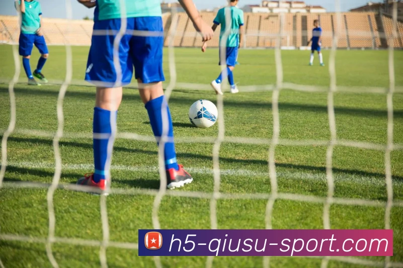 球速体育平台生态图