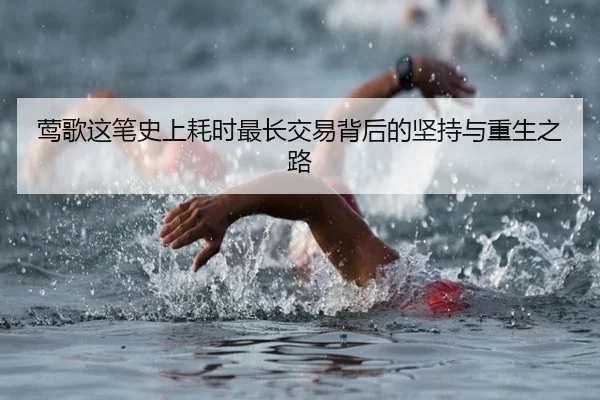 莺歌这笔史上耗时最长交易背后的坚持与重生之路